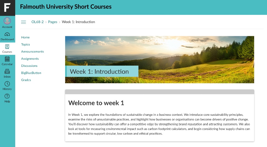 A screenshot of the short course&rsquo;s online learning portal.